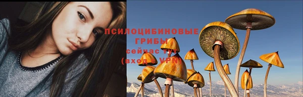apvp Балахна