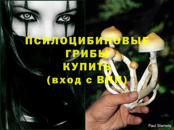apvp Балахна