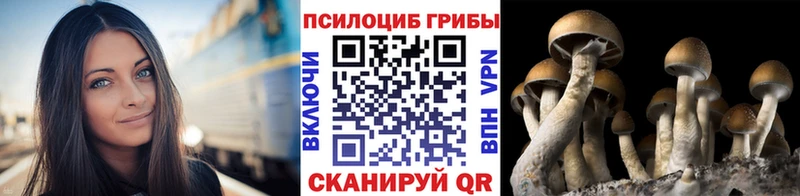 Галлюциногенные грибы мицелий  Шахты 